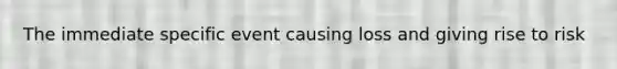 The immediate specific event causing loss and giving rise to risk