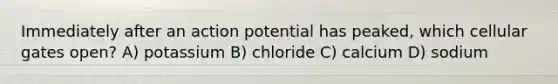 Immediately after an action potential has peaked, which cellular gates open? A) potassium B) chloride C) calcium D) sodium