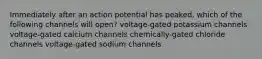 Immediately after an action potential has peaked, which of the following channels will open? voltage-gated potassium channels voltage-gated calcium channels chemically-gated chloride channels voltage-gated sodium channels