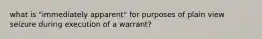 what is "immediately apparent" for purposes of plain view seizure during execution of a warrant?