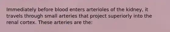 Immediately before blood enters arterioles of the kidney, it travels through small arteries that project superiorly into the renal cortex. These arteries are the: