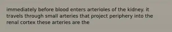 immediately before blood enters arterioles of the kidney. it travels through small arteries that project periphery into the renal cortex these arteries are the