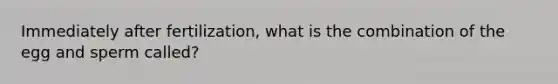 Immediately after fertilization, what is the combination of the egg and sperm called?