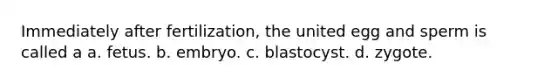 Immediately after fertilization, the united egg and sperm is called a a. fetus. b. embryo. c. blastocyst. d. zygote.