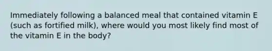 Immediately following a balanced meal that contained vitamin E (such as fortified milk), where would you most likely find most of the vitamin E in the body?