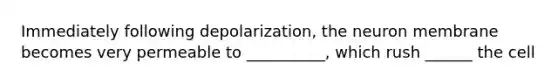 Immediately following depolarization, the neuron membrane becomes very permeable to __________, which rush ______ the cell