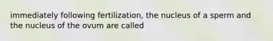 immediately following fertilization, the nucleus of a sperm and the nucleus of the ovum are called