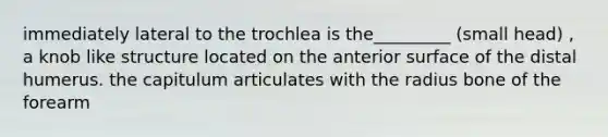 immediately lateral to the trochlea is the_________ (small head) , a knob like structure located on the anterior surface of the distal humerus. the capitulum articulates with the radius bone of the forearm