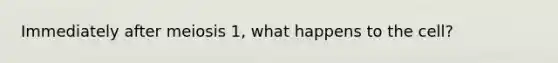 Immediately after meiosis 1, what happens to the cell?