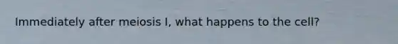Immediately after meiosis I, what happens to the cell?