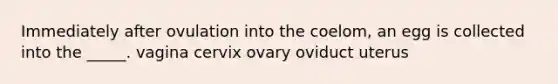 Immediately after ovulation into the coelom, an egg is collected into the _____. vagina cervix ovary oviduct uterus