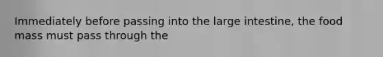 Immediately before passing into the large intestine, the food mass must pass through the