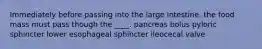 ​Immediately before passing into the large intestine, the food mass must pass though the ____. ​pancreas ​bolus ​pyloric sphincter ​lower esophageal sphincter ​ileocecal valve