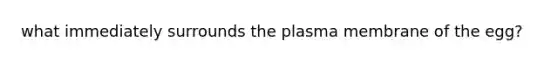 what immediately surrounds the plasma membrane of the egg?