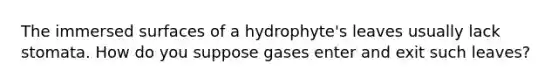 The immersed surfaces of a hydrophyte's leaves usually lack stomata. How do you suppose gases enter and exit such leaves?