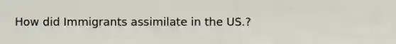 How did Immigrants assimilate in the US.?
