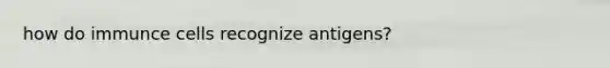 how do immunce cells recognize antigens?