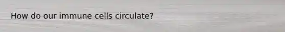 How do our immune cells circulate?