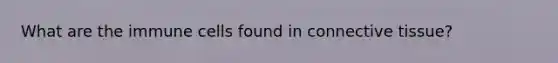 What are the immune cells found in connective tissue?