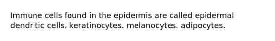 Immune cells found in the epidermis are called epidermal dendritic cells. keratinocytes. melanocytes. adipocytes.