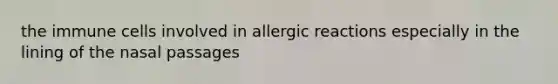 the immune cells involved in allergic reactions especially in the lining of the nasal passages