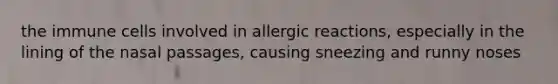 the immune cells involved in allergic reactions, especially in the lining of the nasal passages, causing sneezing and runny noses