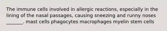 The immune cells involved in allergic reactions, especially in the lining of the nasal passages, causing sneezing and runny noses _______. mast cells phagocytes macrophages myelin stem cells