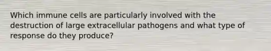 Which immune cells are particularly involved with the destruction of large extracellular pathogens and what type of response do they produce?