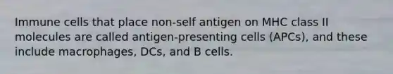 Immune cells that place non-self antigen on MHC class II molecules are called antigen-presenting cells (APCs), and these include macrophages, DCs, and B cells.