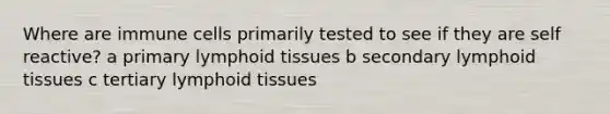 Where are immune cells primarily tested to see if they are self reactive? a primary lymphoid tissues b secondary lymphoid tissues c tertiary lymphoid tissues