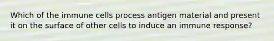 Which of the immune cells process antigen material and present it on the surface of other cells to induce an immune response?