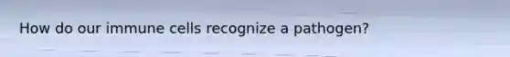 How do our immune cells recognize a pathogen?