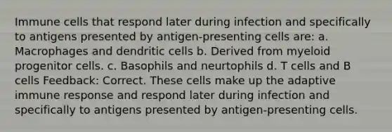 Immune cells that respond later during infection and specifically to antigens presented by antigen-presenting cells are: a. Macrophages and dendritic cells b. Derived from myeloid progenitor cells. c. Basophils and neurtophils d. T cells and B cells Feedback: Correct. These cells make up the adaptive immune response and respond later during infection and specifically to antigens presented by antigen-presenting cells.