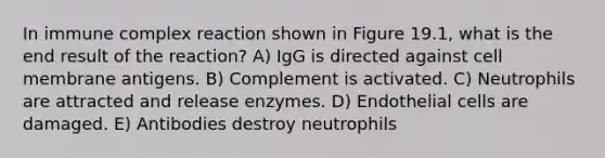 In immune complex reaction shown in Figure 19.1, what is the end result of the reaction? A) IgG is directed against cell membrane antigens. B) Complement is activated. C) Neutrophils are attracted and release enzymes. D) Endothelial cells are damaged. E) Antibodies destroy neutrophils