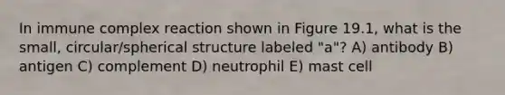 In immune complex reaction shown in Figure 19.1, what is the small, circular/spherical structure labeled "a"? A) antibody B) antigen C) complement D) neutrophil E) mast cell