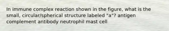 In immune complex reaction shown in the figure, what is the small, circular/spherical structure labeled "a"? antigen complement antibody neutrophil mast cell