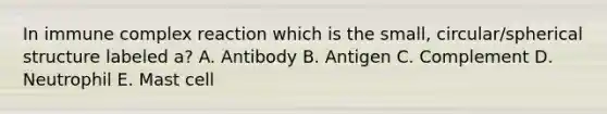 In immune complex reaction which is the small, circular/spherical structure labeled a? A. Antibody B. Antigen C. Complement D. Neutrophil E. Mast cell