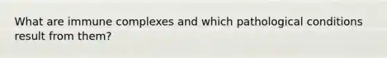 What are immune complexes and which pathological conditions result from them?