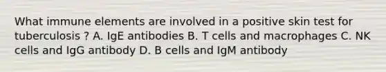 What immune elements are involved in a positive skin test for tuberculosis ? A. IgE antibodies B. T cells and macrophages C. NK cells and IgG antibody D. B cells and IgM antibody