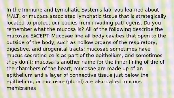 In the Immune and Lymphatic Systems lab, you learned about MALT, or mucosa associated lymphatic tissue that is strategically located to protect our bodies from invading pathogens. Do you remember what the mucosa is? All of the following describe the mucosae EXCEPT: Mucosae line all body cavities that open to the outside of the body, such as hollow organs of the respiratory, digestive, and urogenital tracts; mucosae sometimes have mucus secreting cells as part of the epithelium, and sometimes they don't; mucosa is another name for the inner lining of the of the chambers of the heart; mucosae are made up of an epithelium and a layer of connective tissue just below the epithelium; or mucosae (plural) are also called mucous membranes