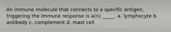 An immune molecule that connects to a specific antigen, triggering the immune response is a(n) _____. a. lymphocyte b. antibody c. complement d. mast cell