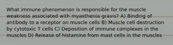 What immune phenomenon is responsible for the muscle weakness associated with myasthenia gravis? A) Binding of antibody to a receptor on muscle cells B) Muscle cell destruction by cytotoxic T cells C) Deposition of immune complexes in the muscles D) Release of histamine from mast cells in the muscles