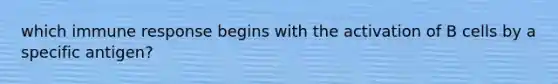 which immune response begins with the activation of B cells by a specific antigen?