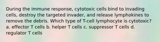 During the immune response, cytotoxic cells bind to invading cells, destroy the targeted invader, and release lymphokines to remove the debris. Which type of T-cell lymphocyte is cytotoxic? a. effector T cells b. helper T cells c. suppressor T cells d. regulator T cells