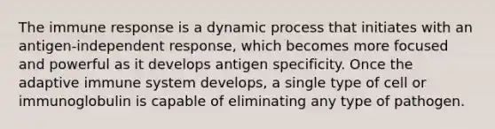 The immune response is a dynamic process that initiates with an antigen-independent response, which becomes more focused and powerful as it develops antigen specificity. Once the adaptive immune system develops, a single type of cell or immunoglobulin is capable of eliminating any type of pathogen.