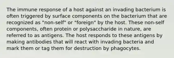 The immune response of a host against an invading bacterium is often triggered by surface components on the bacterium that are recognized as "non-self" or "foreign" by the host. These non-self components, often protein or polysaccharide in nature, are referred to as antigens. The host responds to these antigens by making antibodies that will react with invading bacteria and mark them or tag them for destruction by phagocytes.