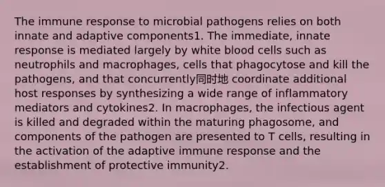 The immune response to microbial pathogens relies on both innate and adaptive components1. The immediate, innate response is mediated largely by white blood cells such as neutrophils and macrophages, cells that phagocytose and kill the pathogens, and that concurrently同时地 coordinate additional host responses by synthesizing a wide range of inflammatory mediators and cytokines2. In macrophages, the infectious agent is killed and degraded within the maturing phagosome, and components of the pathogen are presented to T cells, resulting in the activation of the adaptive immune response and the establishment of protective immunity2.