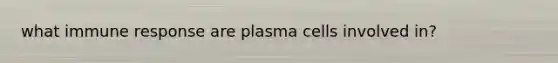 what immune response are plasma cells involved in?