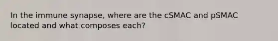 In the immune synapse, where are the cSMAC and pSMAC located and what composes each?