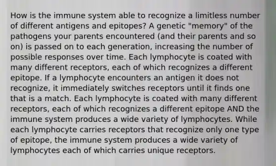 How is the immune system able to recognize a limitless number of different antigens and epitopes? A genetic "memory" of the pathogens your parents encountered (and their parents and so on) is passed on to each generation, increasing the number of possible responses over time. Each lymphocyte is coated with many different receptors, each of which recognizes a different epitope. If a lymphocyte encounters an antigen it does not recognize, it immediately switches receptors until it finds one that is a match. Each lymphocyte is coated with many different receptors, each of which recognizes a different epitope AND the immune system produces a wide variety of lymphocytes. While each lymphocyte carries receptors that recognize only one type of epitope, the immune system produces a wide variety of lymphocytes each of which carries unique receptors.